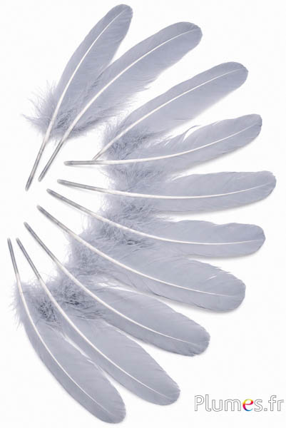 Gans - 15-21 cm - grau